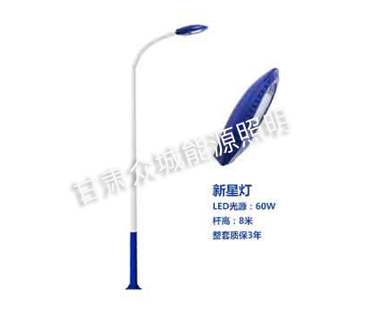 幸福路街道爆款市电路灯